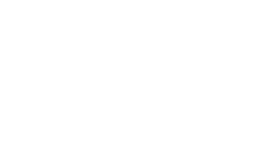 RotorSwing Holland